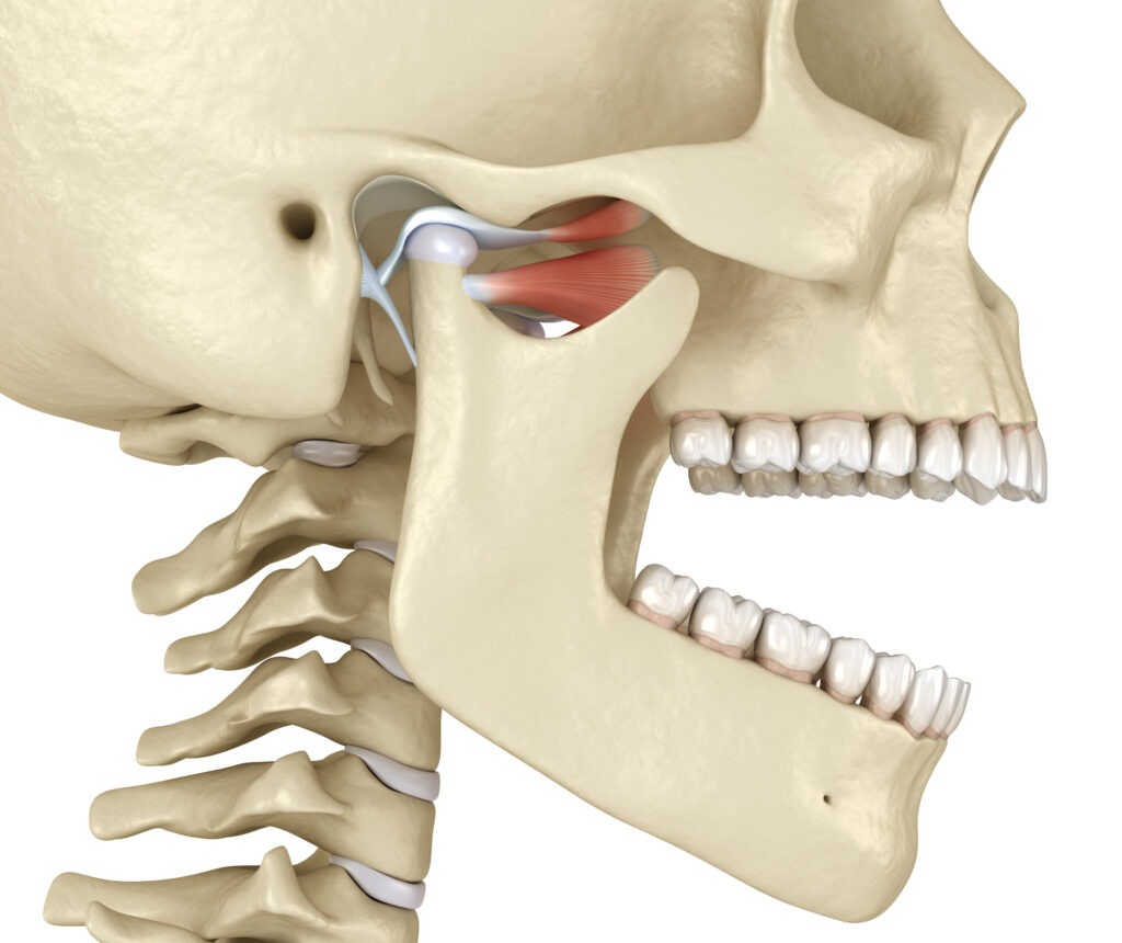 odontología neuromuscular