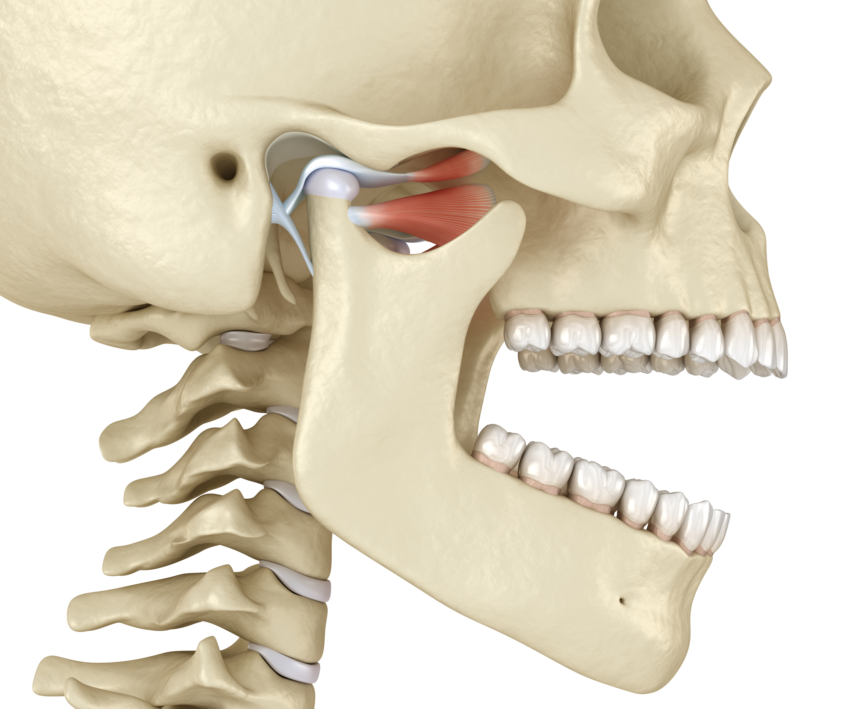odontología neuromuscular